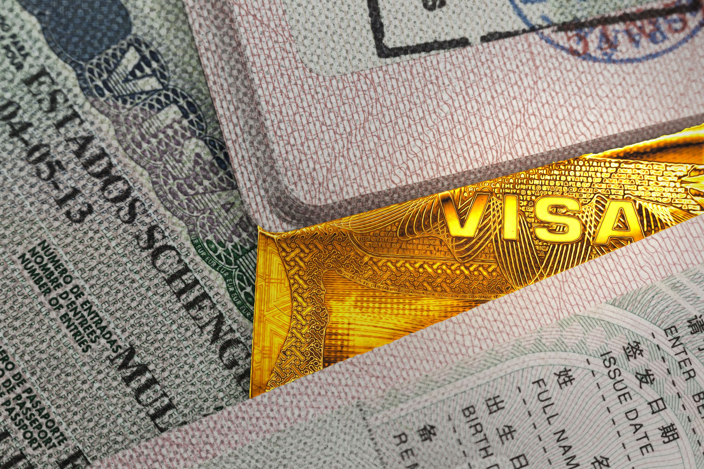 A ‘Trump Card Visa’ Is Already Showing Up in Immigration Forms.